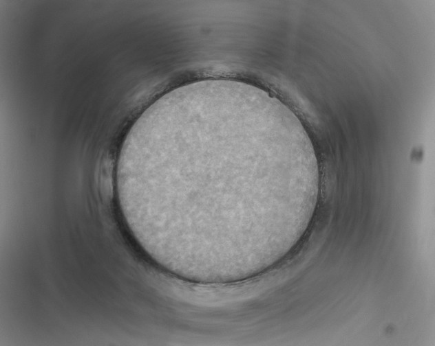 X0000116830022201001151236