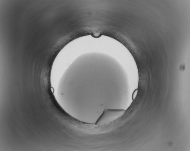 X0000116830023201001151236