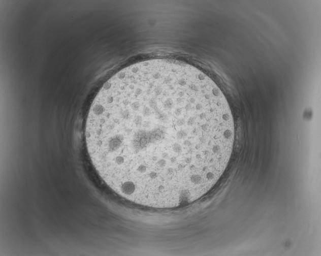 X0000116830024201001151236