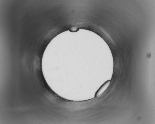 X0000116830025201001151236