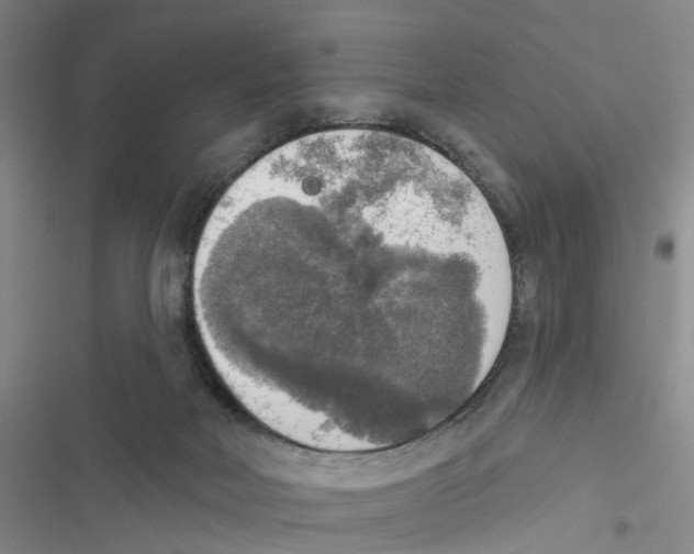 X0000116830026201001151235