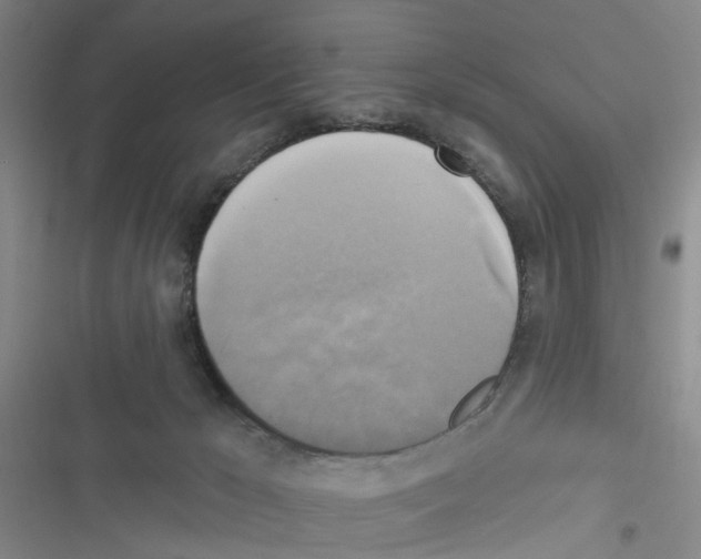 X0000116830029201001151235