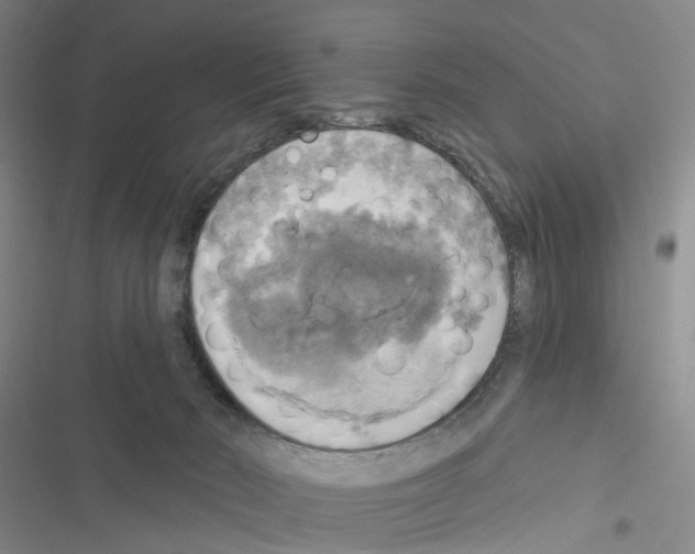 X0000116830030201001151235