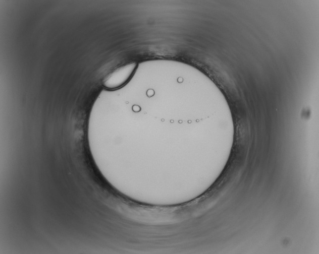 X0000116830032201001151235