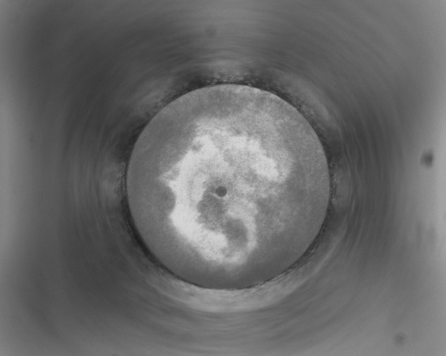 X0000116830034201001151235