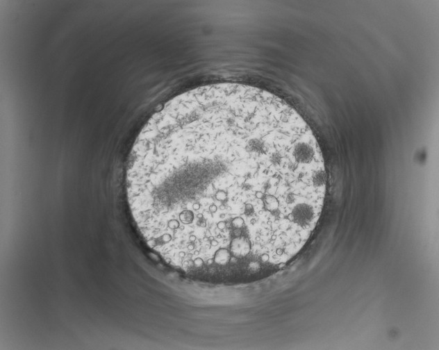 X0000116830036201001151235