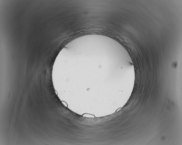 X0000116830037201001151235