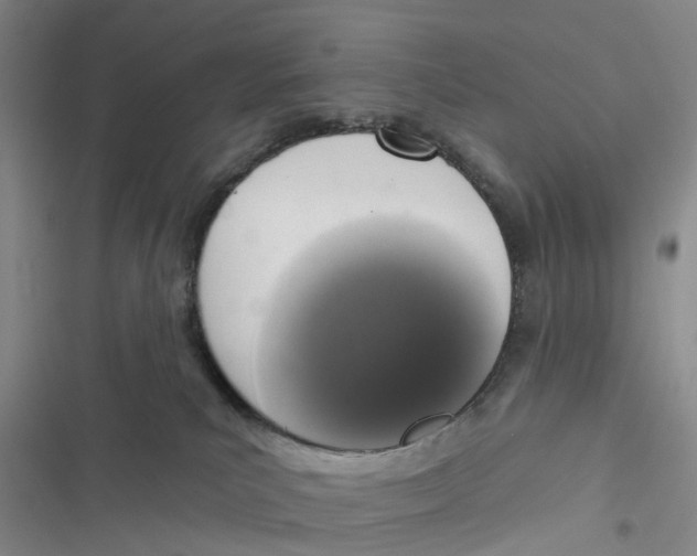 X0000116830039201001151235