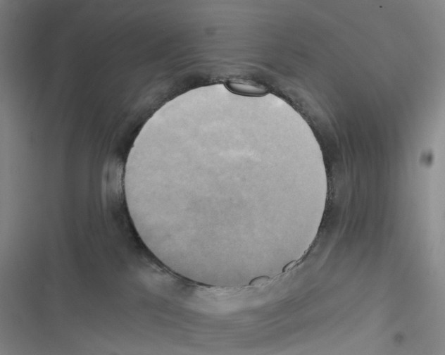 X0000116830041201001151235