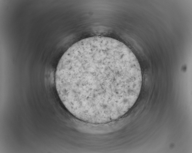 X0000116830042201001151235