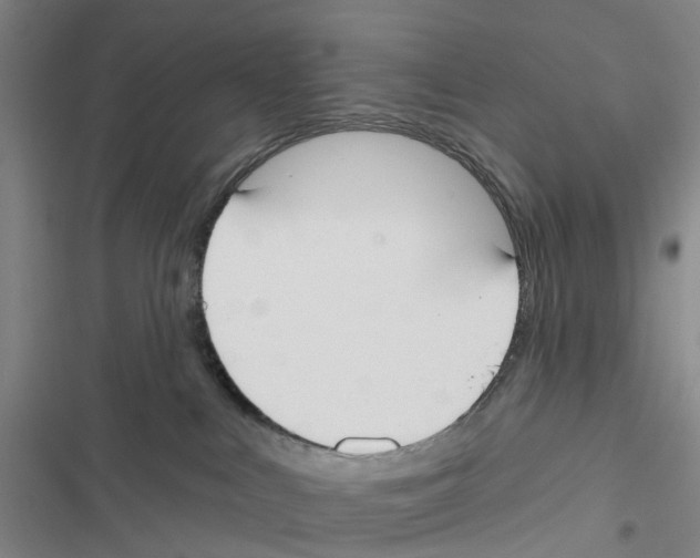 X0000116830043201001151235