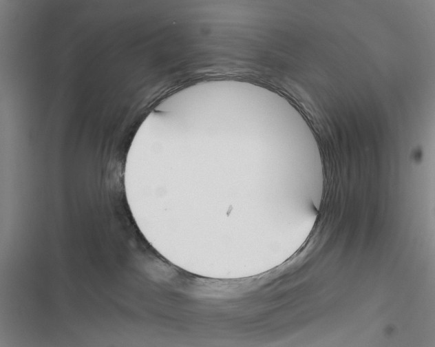 X0000116830045201001151235