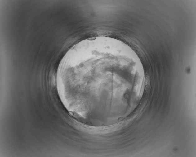 X0000116830046201001151235