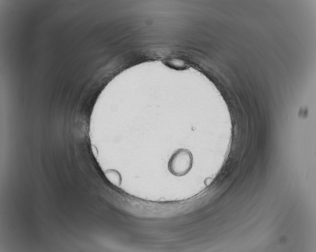 X0000116830048201001151235