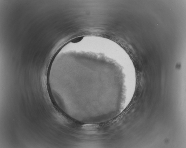 X0000116830051201001151235