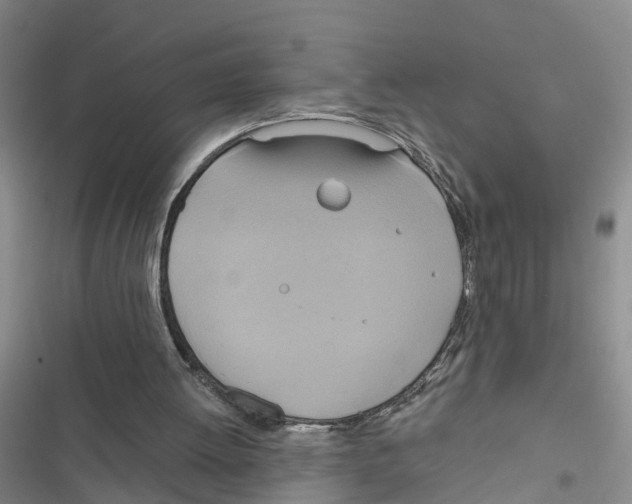 X0000116830052201001151235