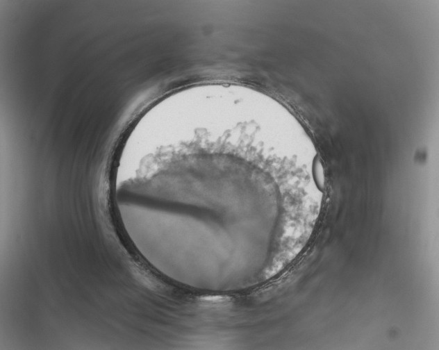 X0000116830053201001151235