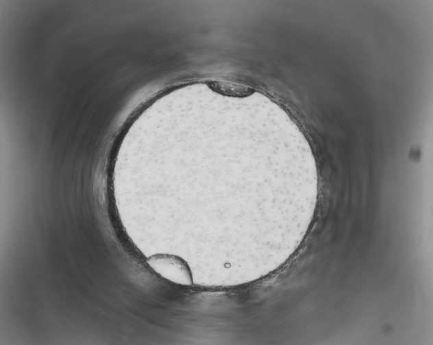 X0000116830054201001151235