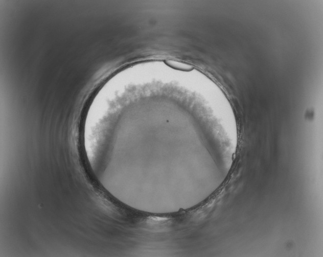 X0000116830055201001151235