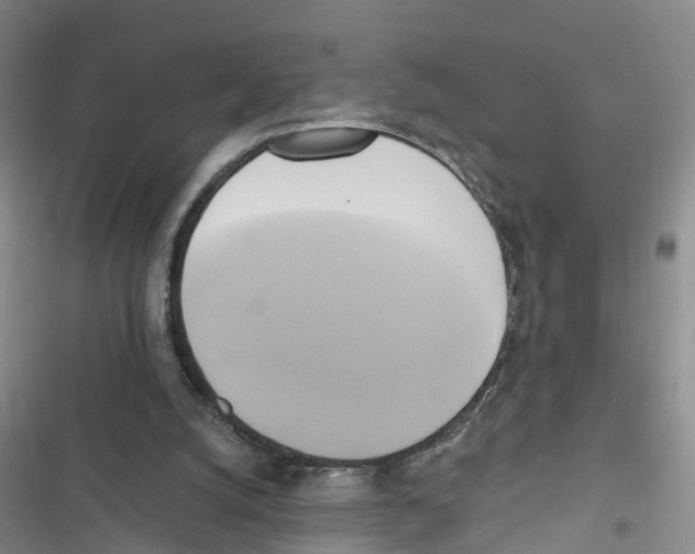 X0000116830056201001151235