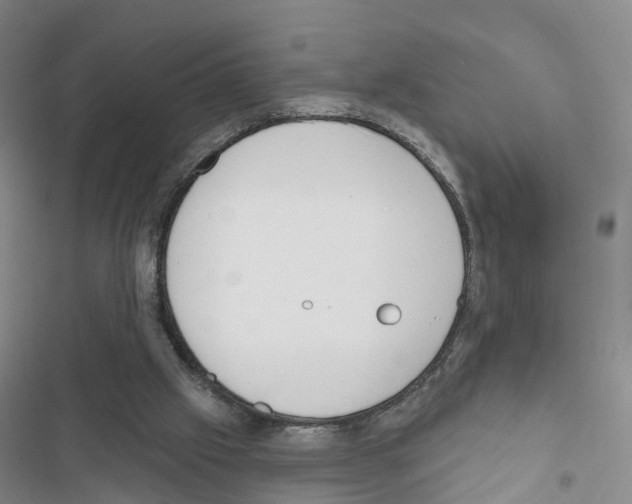 X0000116830057201001151235