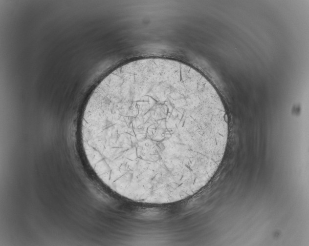 X0000116830058201001151235