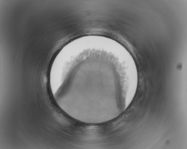 X0000116830059201001151235