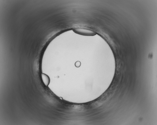 X0000116830060201001151235