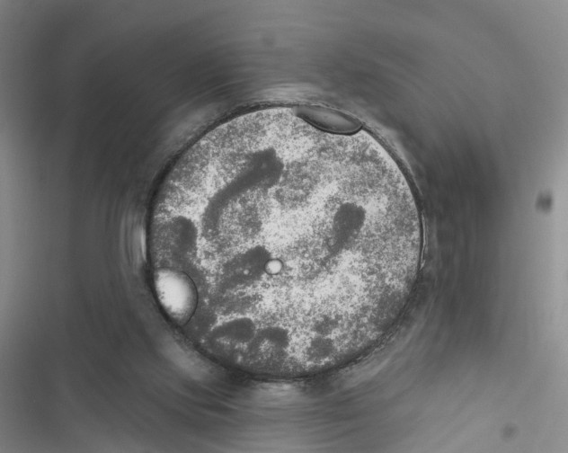 X0000116830061201001151235