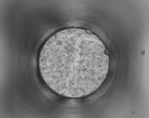 X0000116830064201001151235