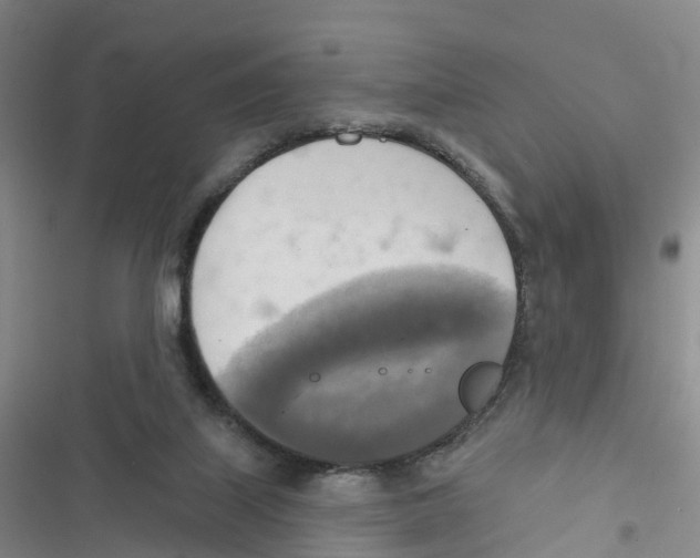 X0000116830067201001151235