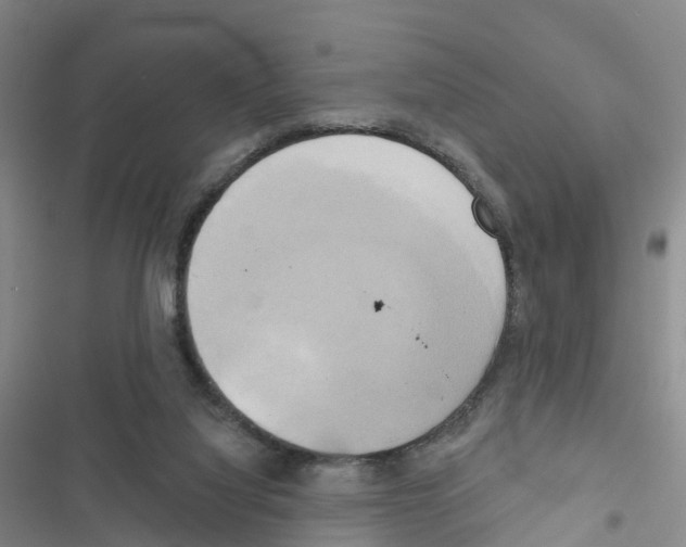 X0000116830068201001151235