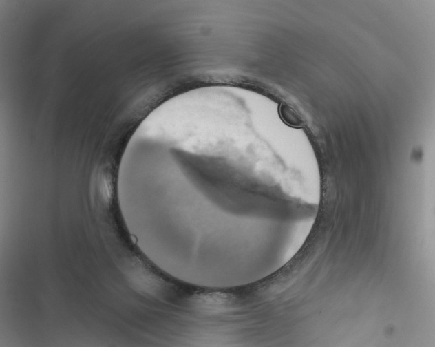 X0000116830069201001151235