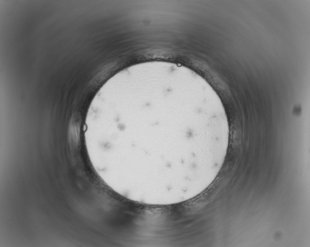 X0000116830070201001151235