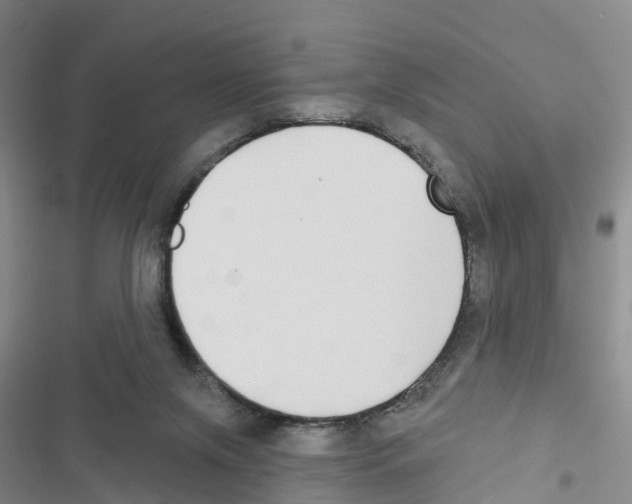 X0000116830071201001151235