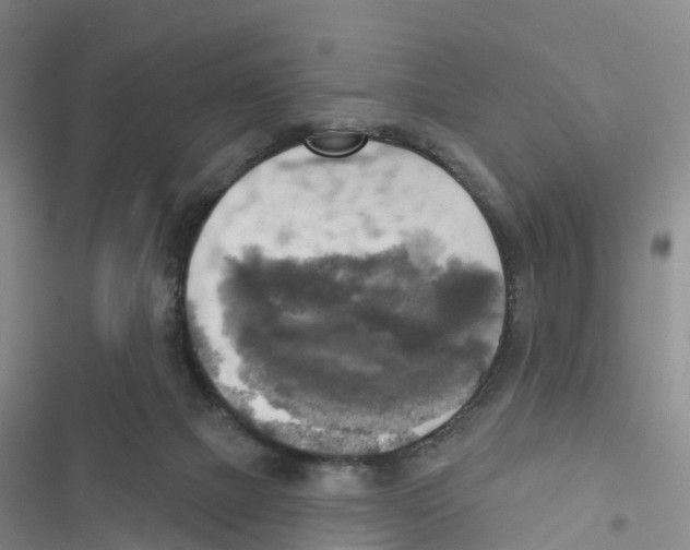 X0000116830073201001151235