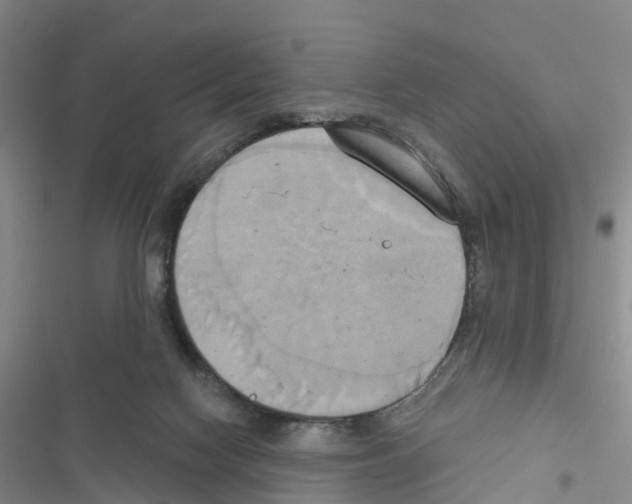 X0000116830074201001151235