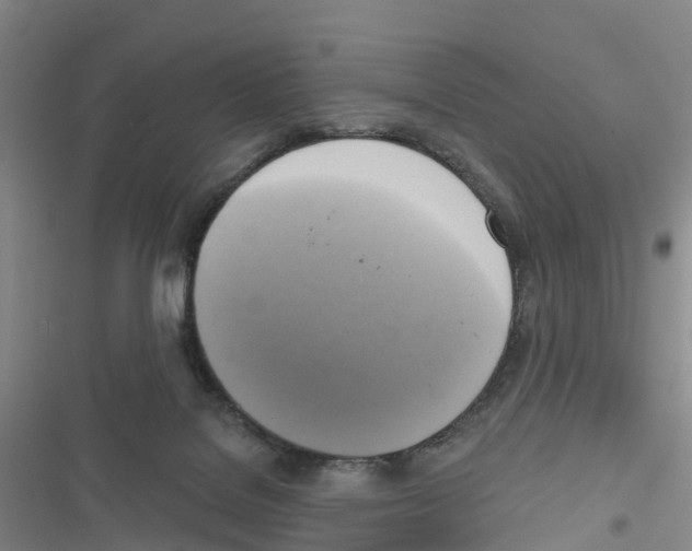 X0000116830076201001151235