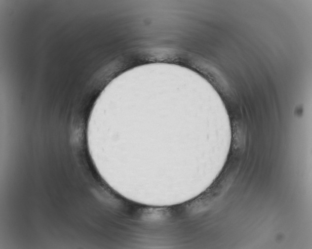 X0000116830077201001151235