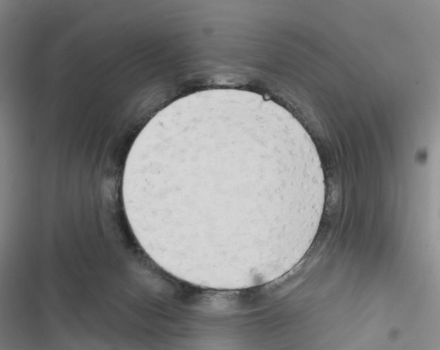 X0000116830078201001151235