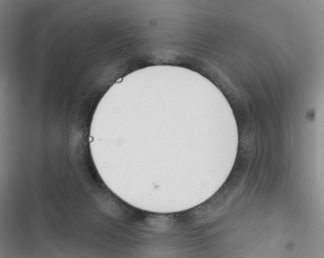 X0000116830079201001151235