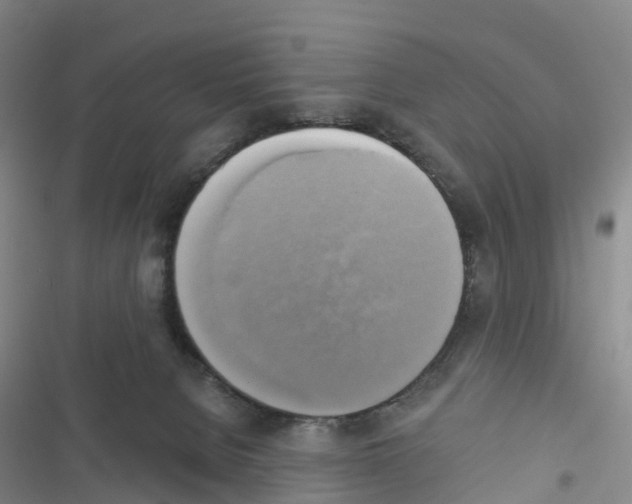 X0000116830080201001151235