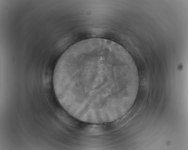 X0000116830082201001151235