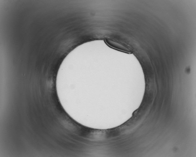 X0000116830084201001151235