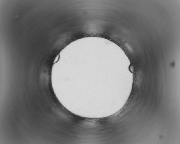 X0000116830086201001151235