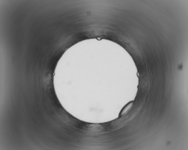 X0000116830087201001151235