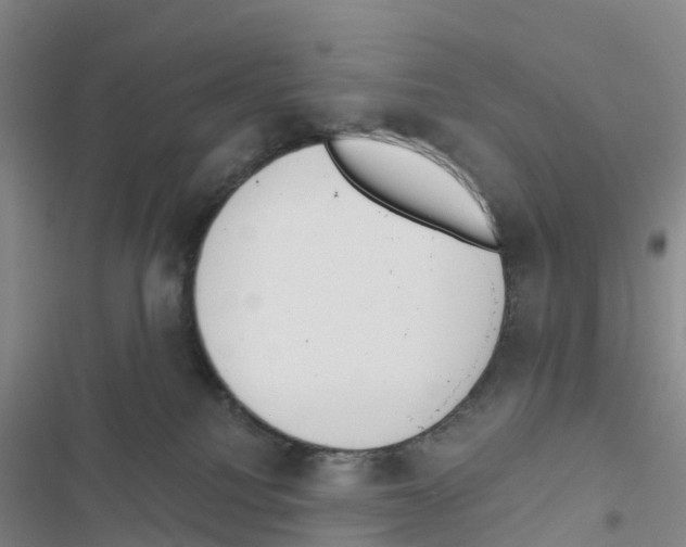 X0000116830088201001151235