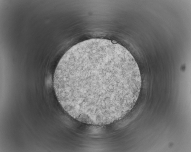 X0000116830089201001151235