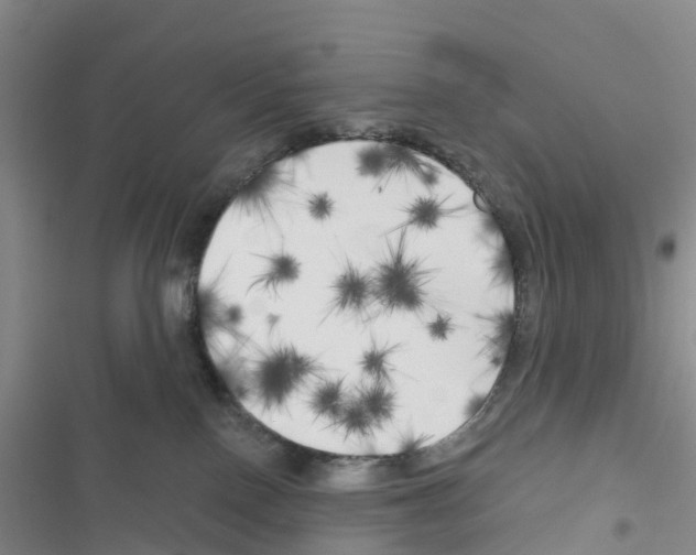 X0000116830090201001151235