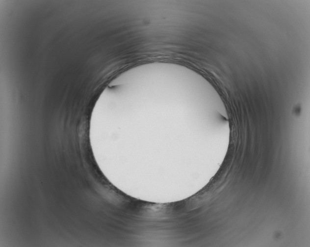 X0000116830092201001151235